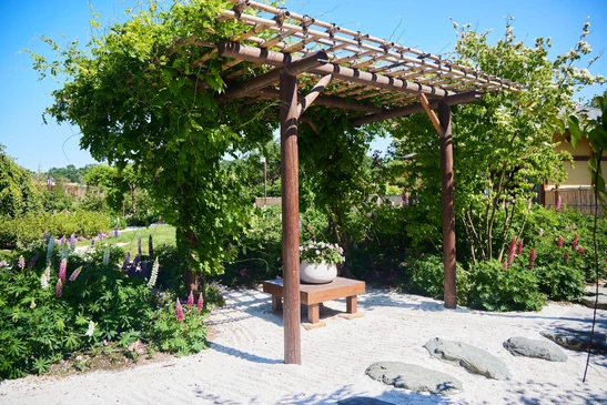 Un jardin avec une pergola en bois et un banc en dessous