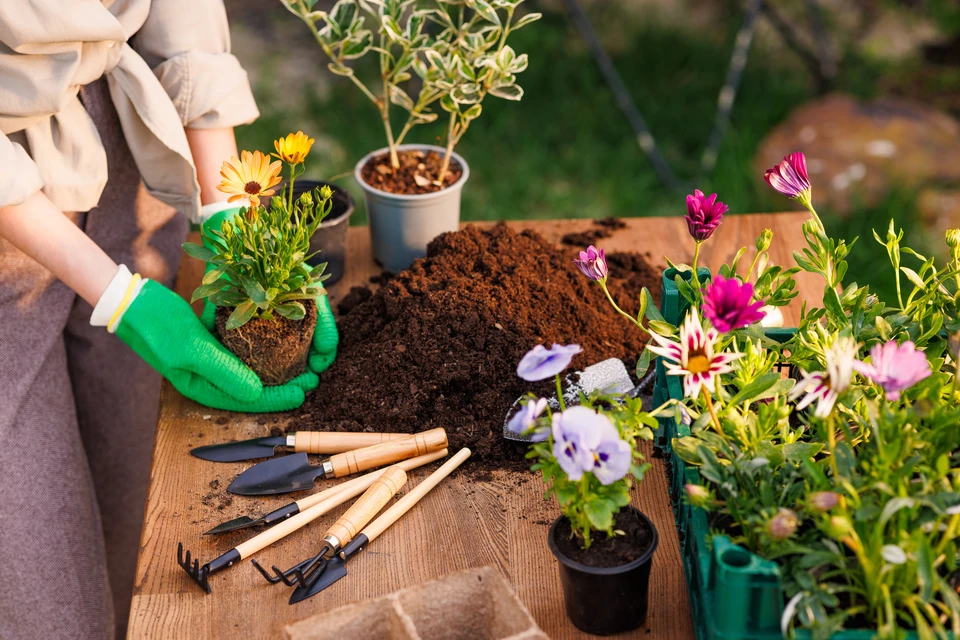 Hôtel à insectes en bois installé dans une forêt d'automne
