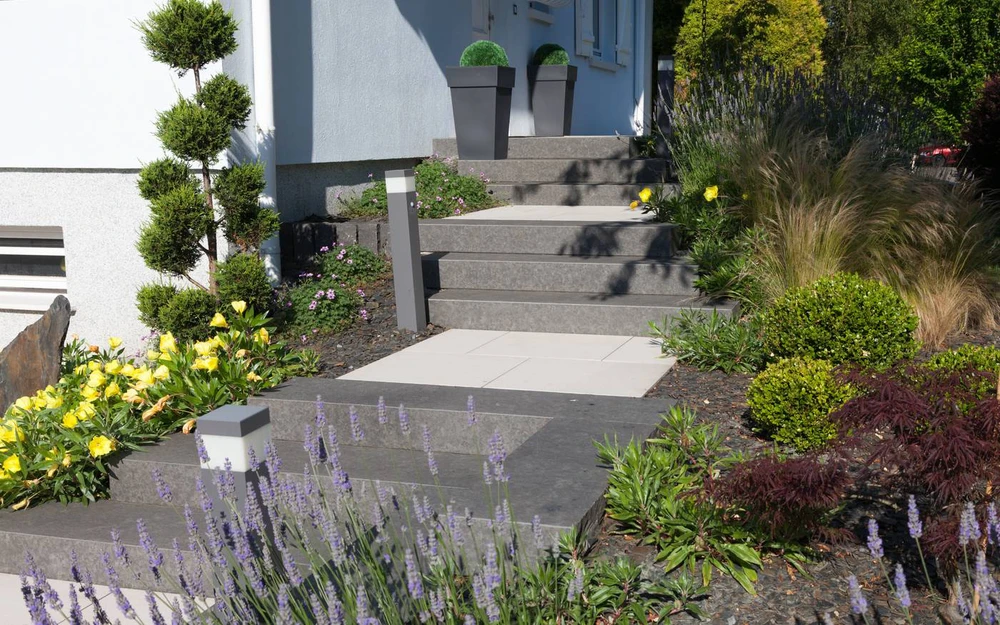 Aménagement paysager extérieur résidentiel avec escalier en pierre naturelle intégré dans un talus végétalisé