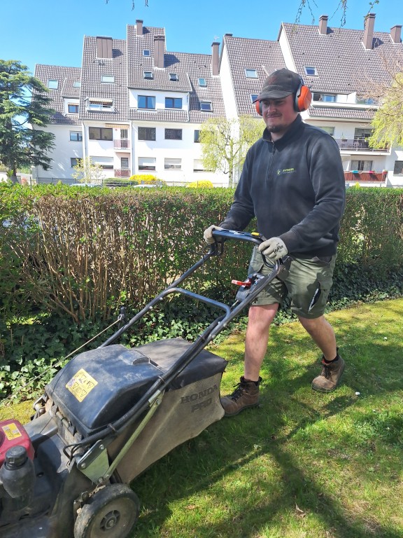 Combien coûte un entretien de pelouse sur Strasbourg, Illkirch et Reichstett ?