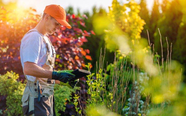 Comment entretenir son jardin à Strasbourg, Lingolsheim et Holtzheim au fil des saisons ?